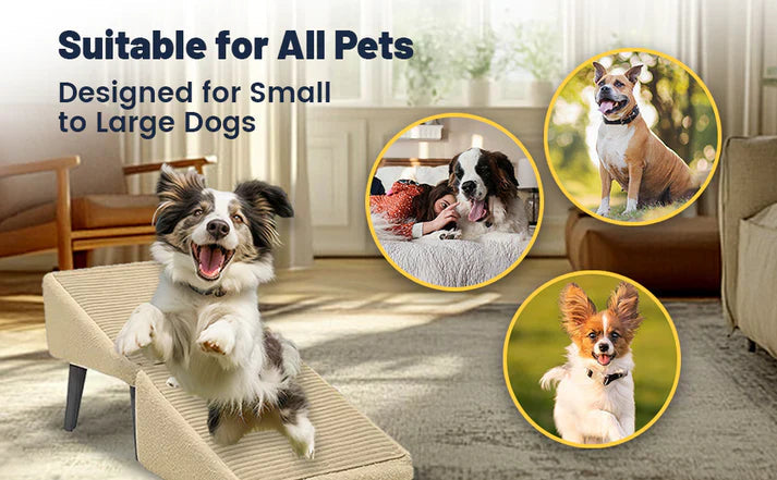 🐶Pet sofa ladder